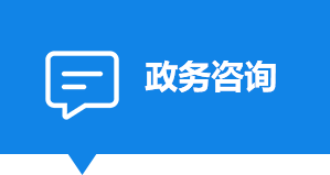 政務咨詢
